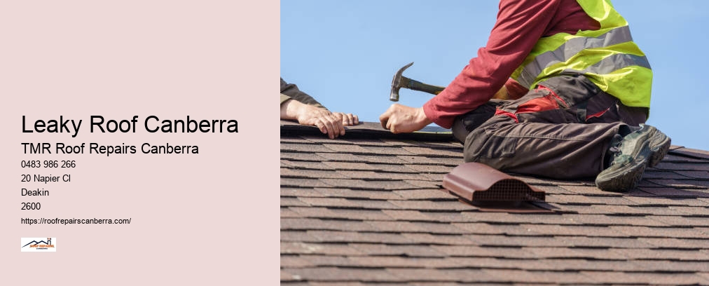 Best Roof Repairs Canberra