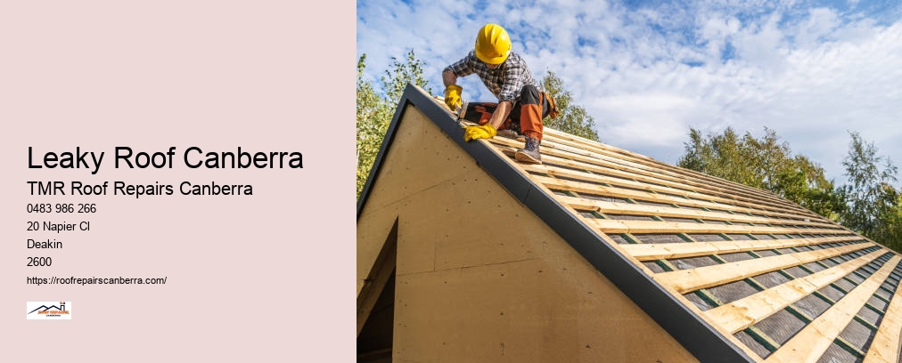 Roof Leak Repair Canberra