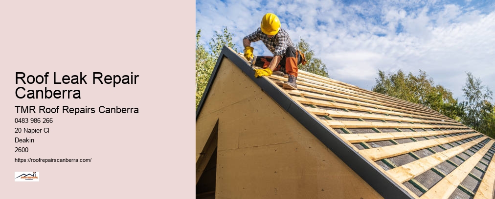 Roof Repair Canberra