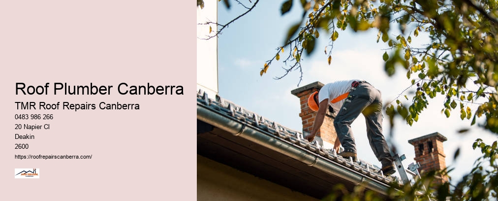 Roof Leak Repair Canberra