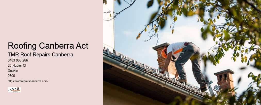 Roof Repair Canberra